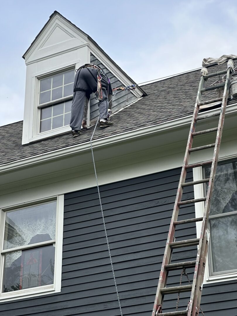 Two men are working on a house with ladders.